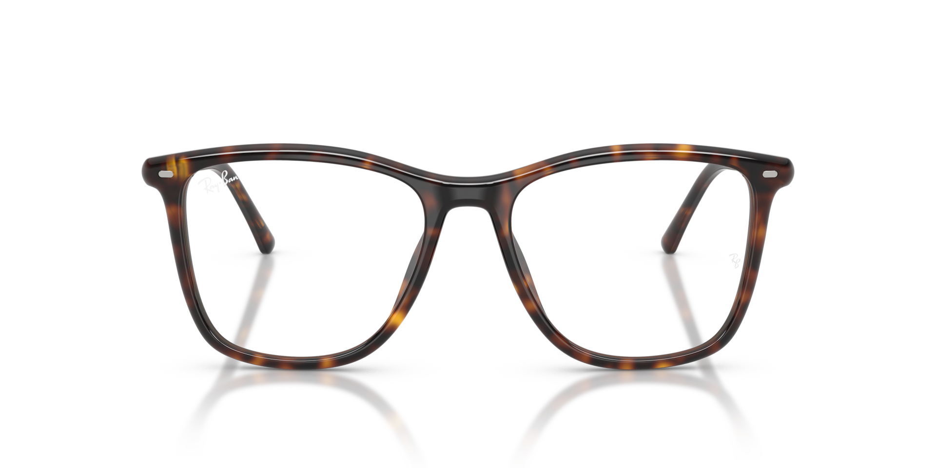 RB5455 Optics