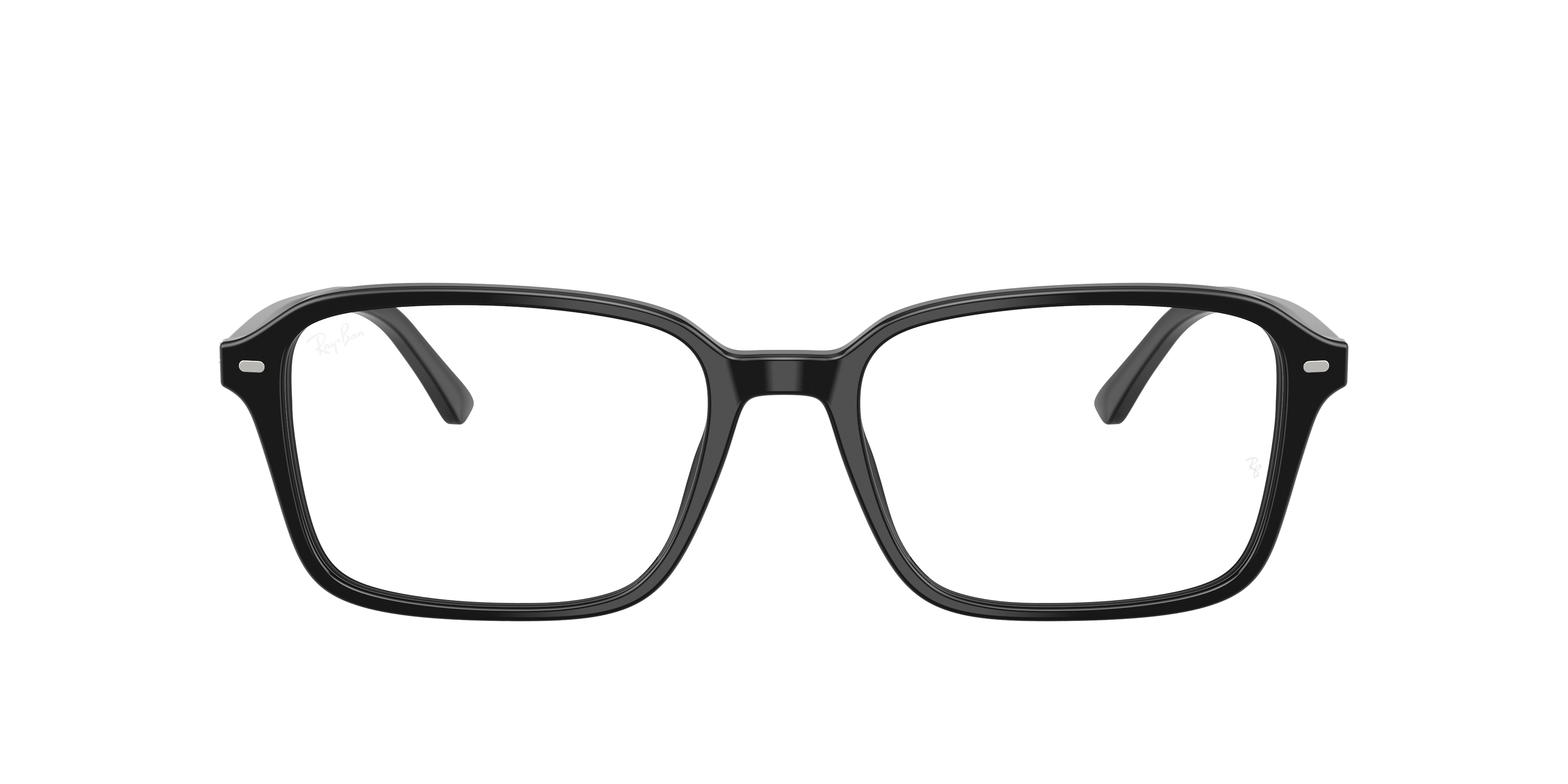 RB5431 Raimond Optics