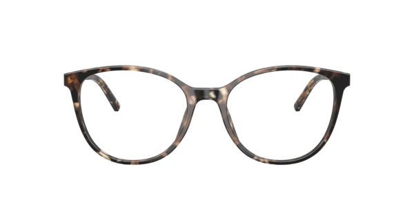 Dolce&Gabbana Woman Havana Brown Pearl
