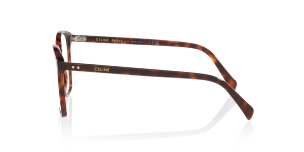 Celine Woman Tortoise