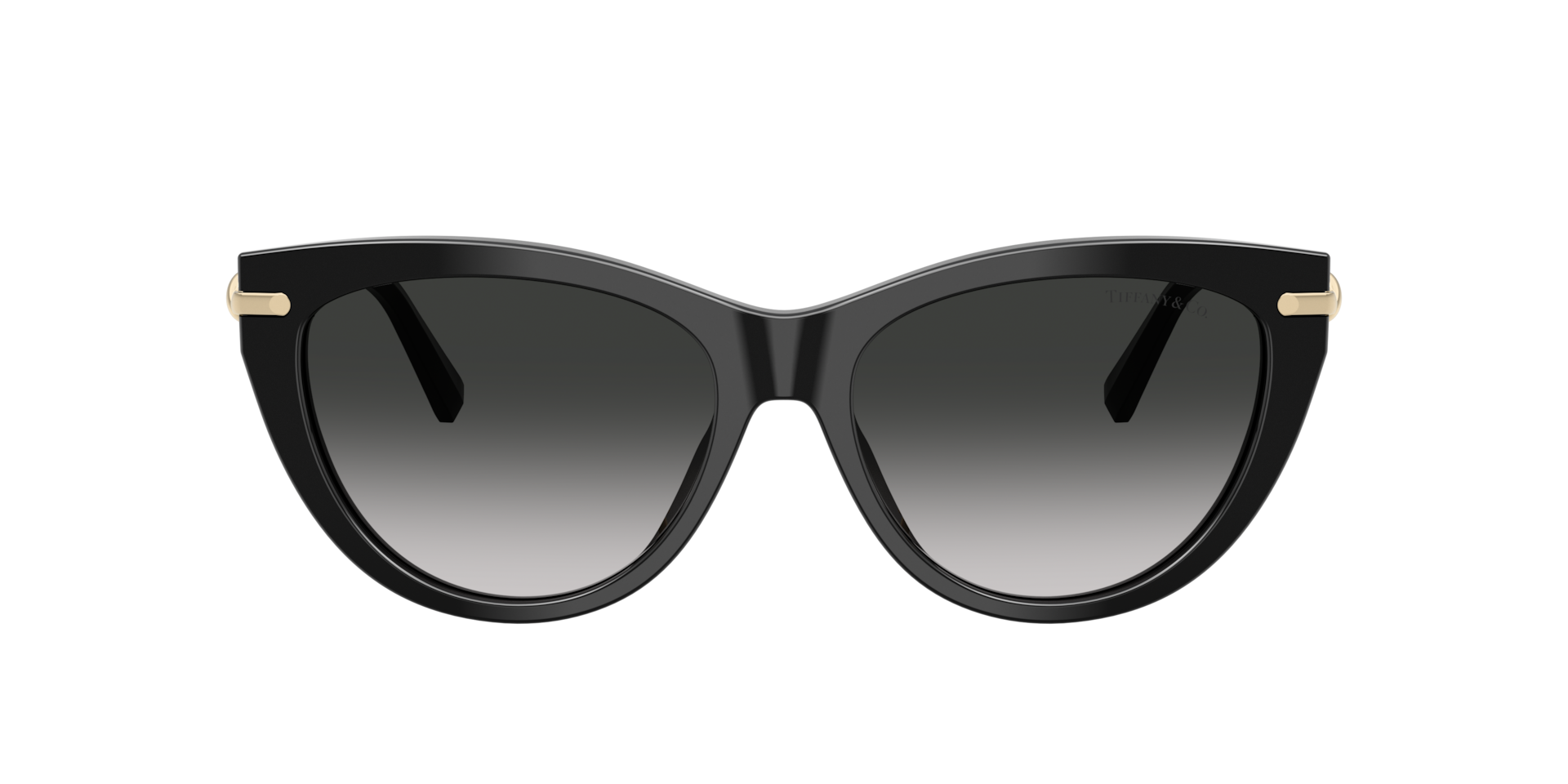 Tiffany TF4253 Sunglasses | LensCrafters