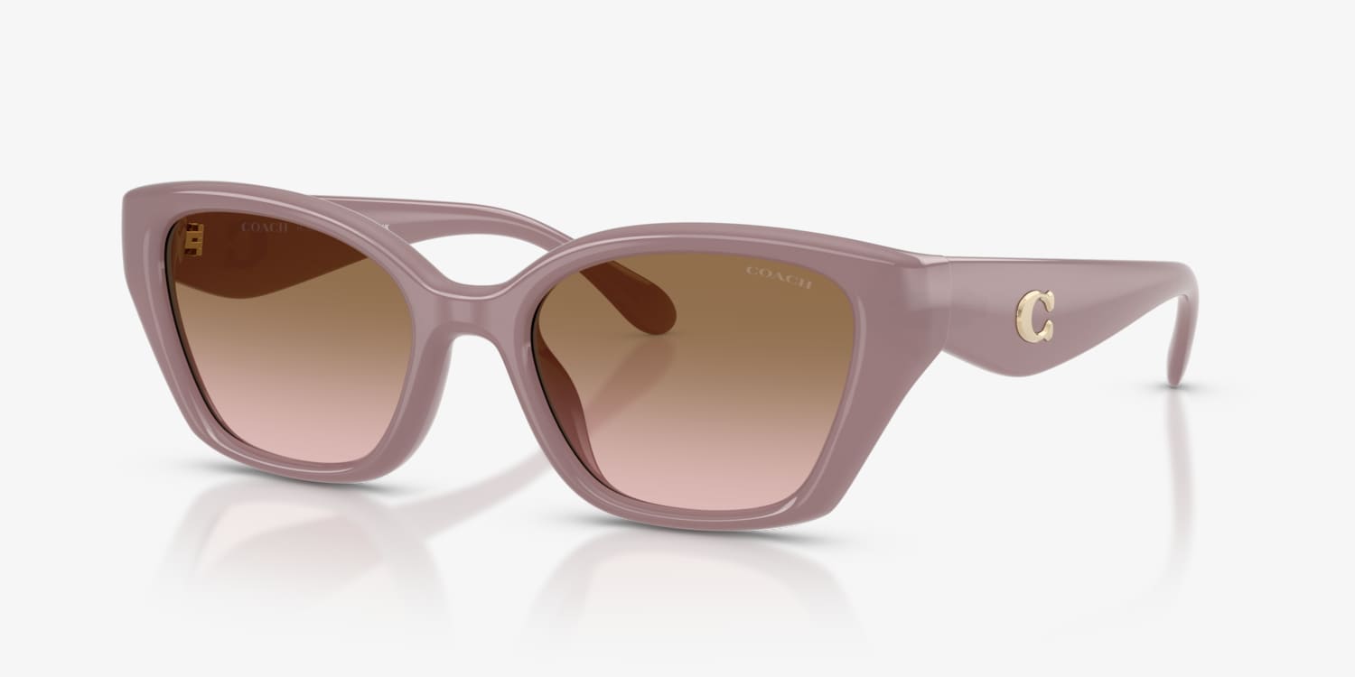Coach HC8434U CBY91 Sunglasses | LensCrafters