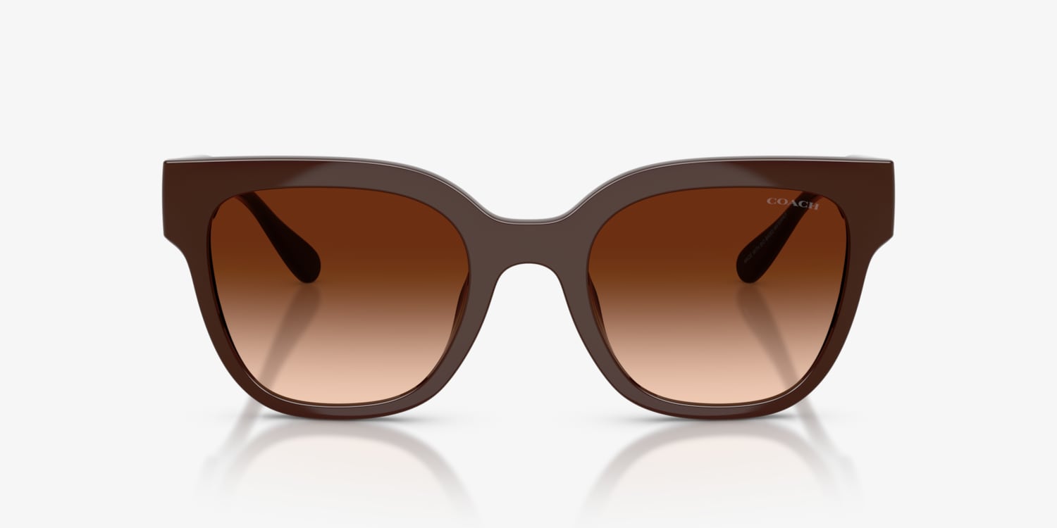 Coach HC8460U CFT88 Sunglasses | LensCrafters