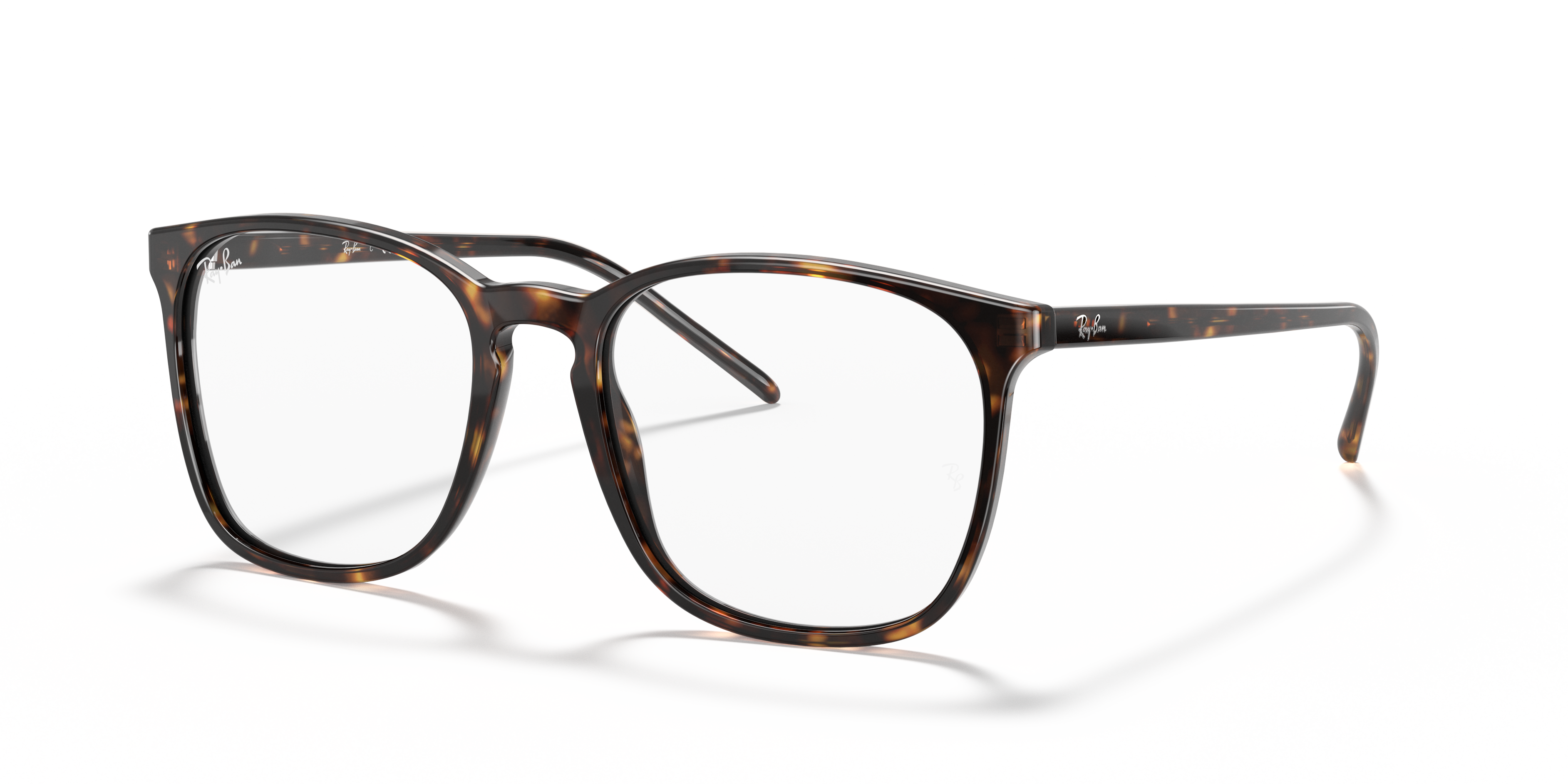 RB5387 Optics
