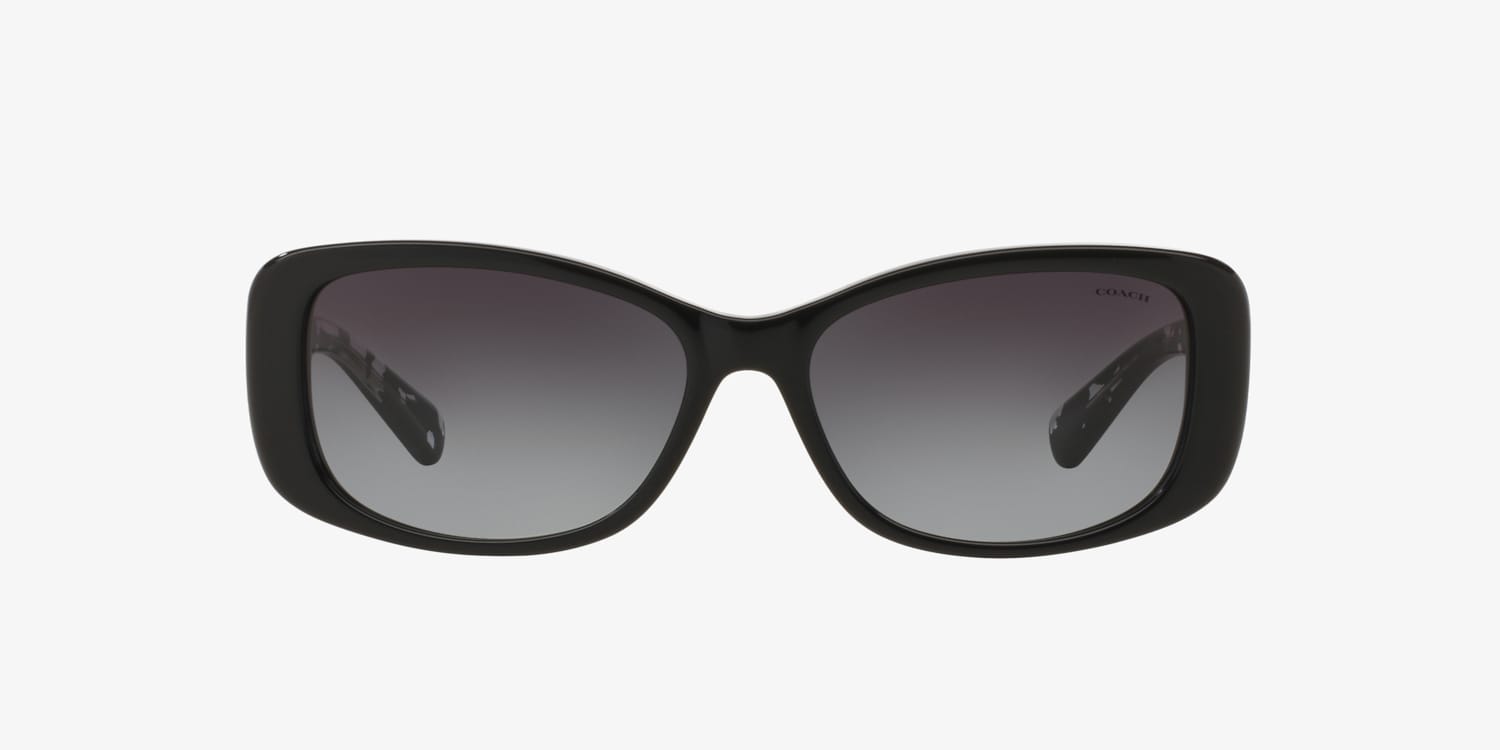 Coach HC8168 L156 Sunglasses | LensCrafters