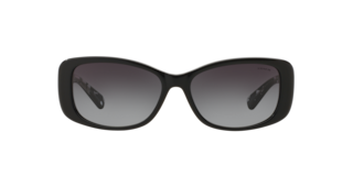 Coach HC8168 L156 Sunglasses | LensCrafters