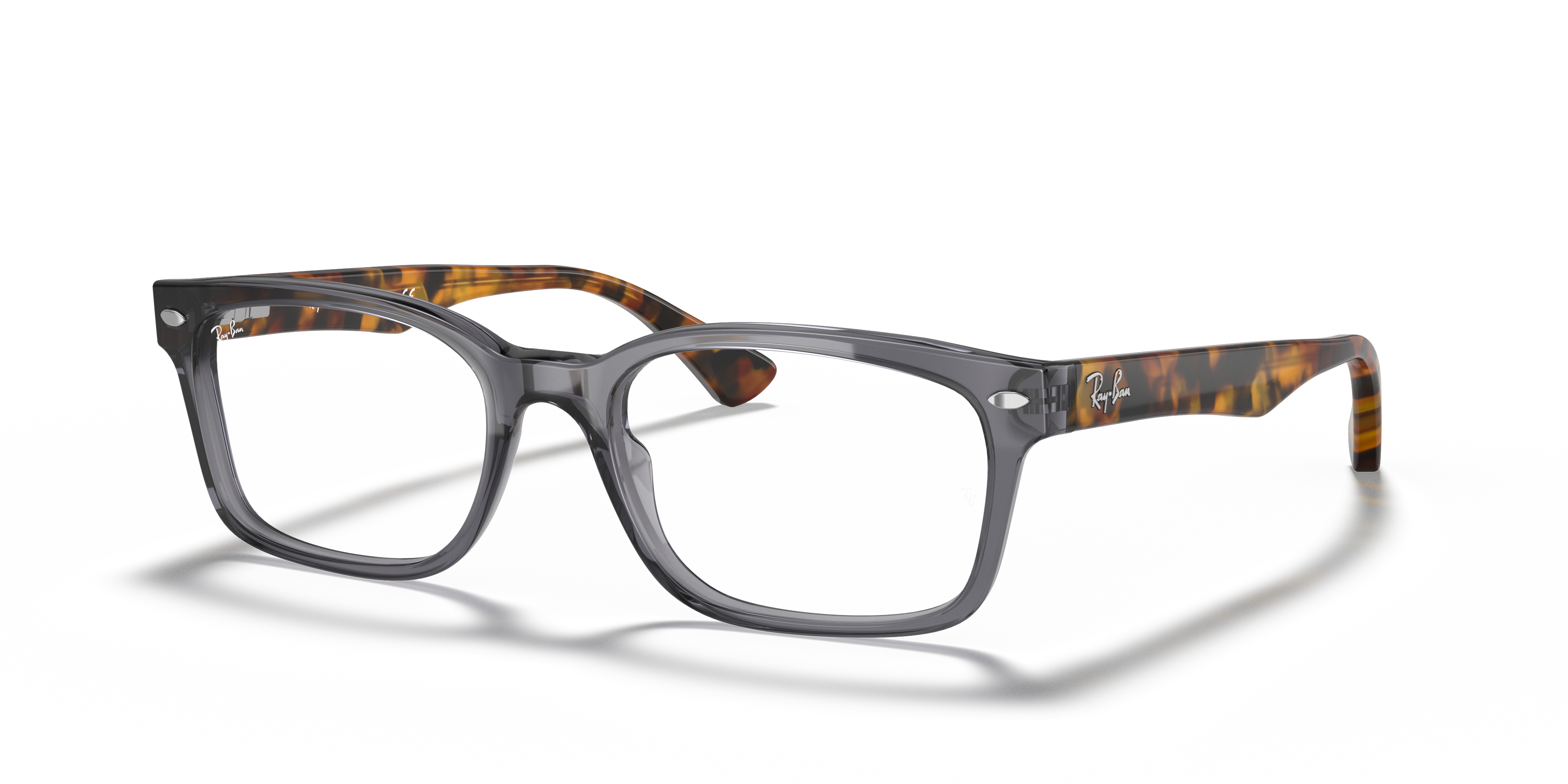 RB5286 Optics