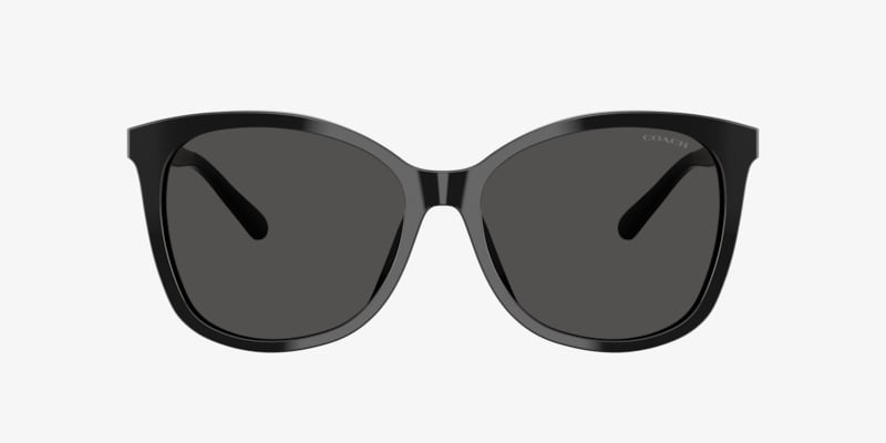 Coach HC8381U CL918 Sunglasses | LensCrafters