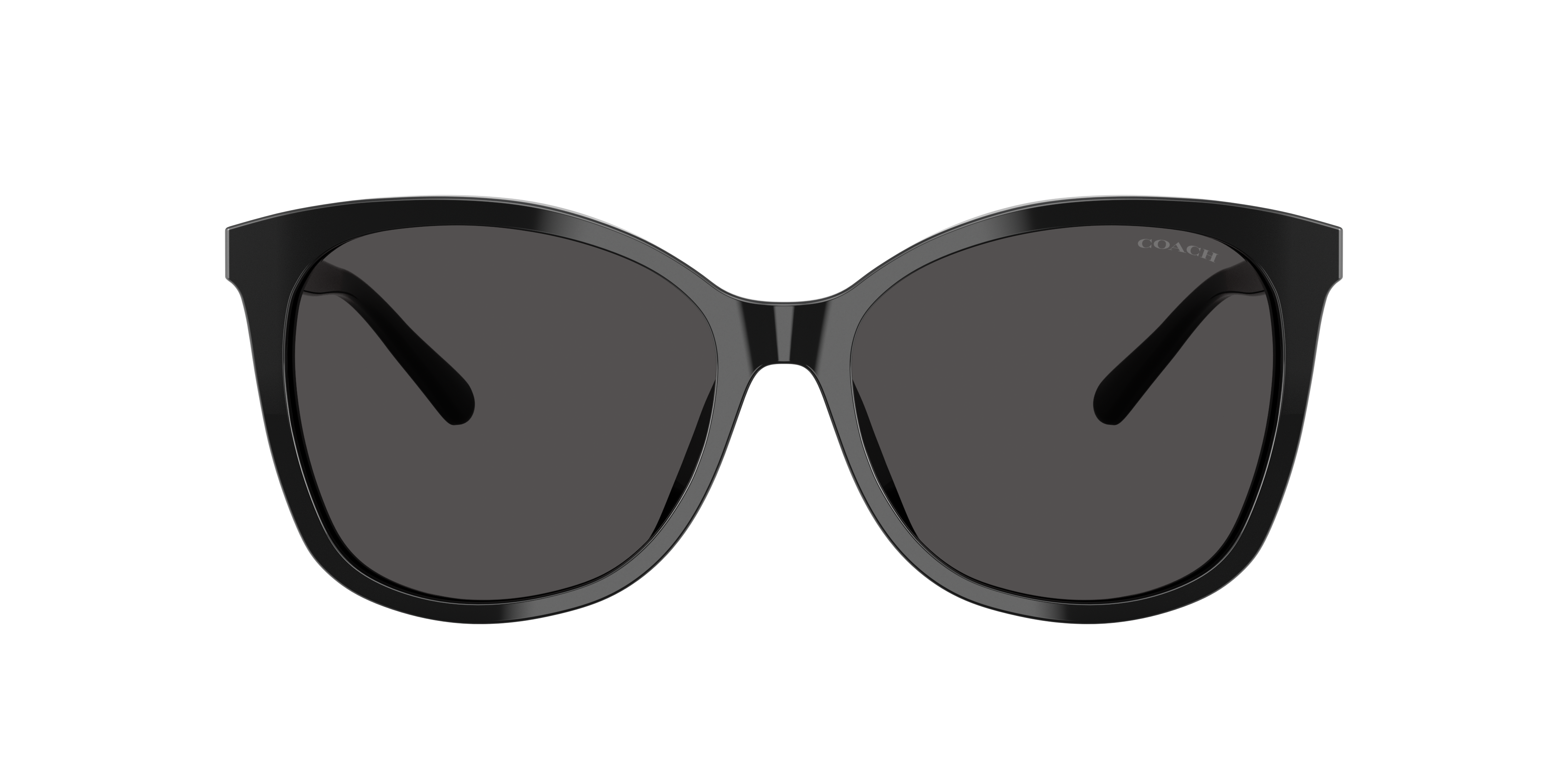 Coach HC8271U L1101 Sunglasses | LensCrafters