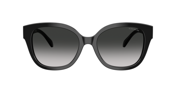 Coach HC8438U CBY94 Sunglasses | LensCrafters