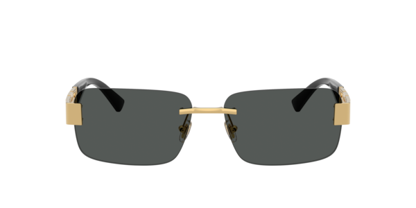 Versace VE2298 Sunglasses | LensCrafters