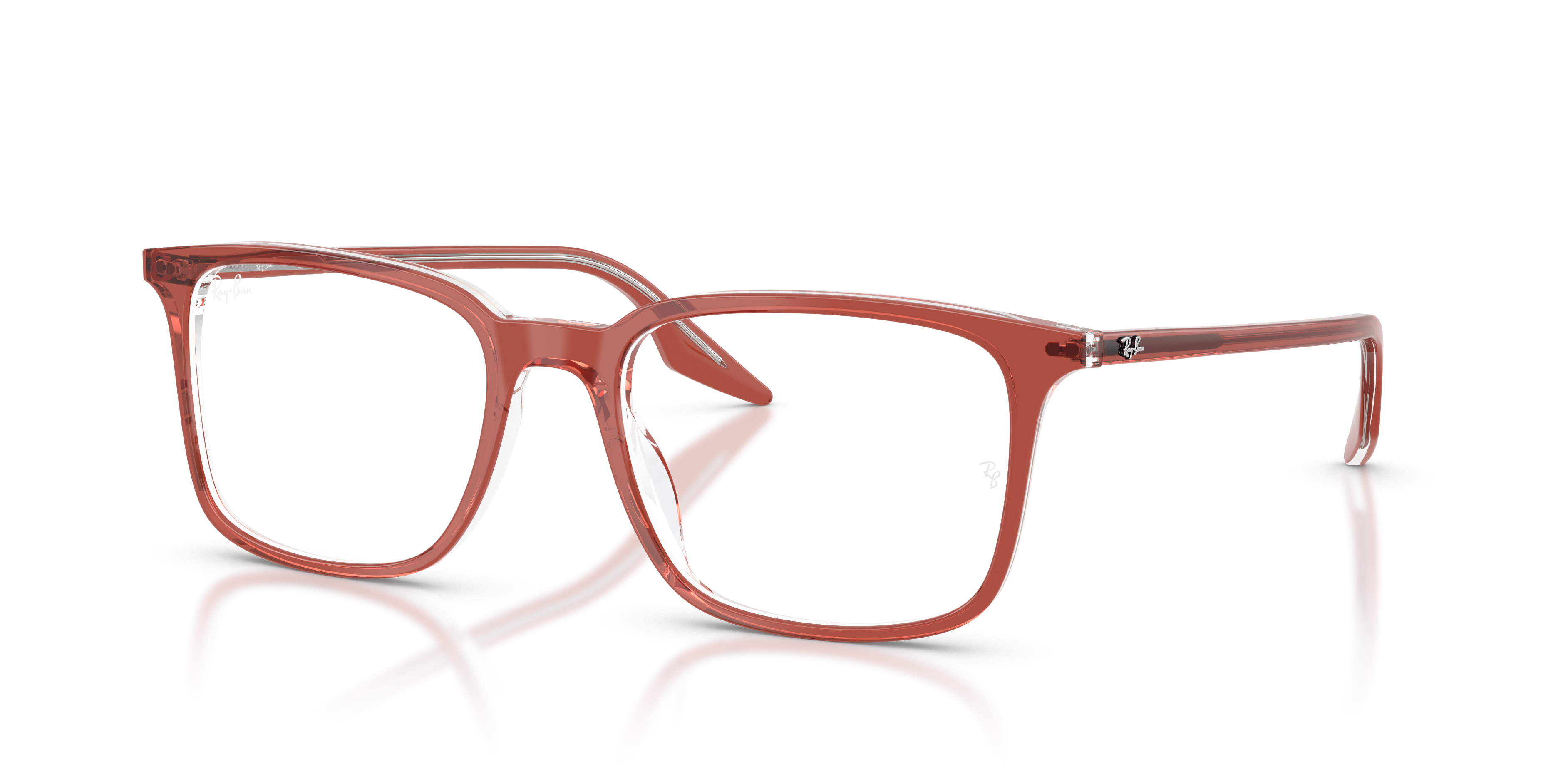 RB5421 Optics