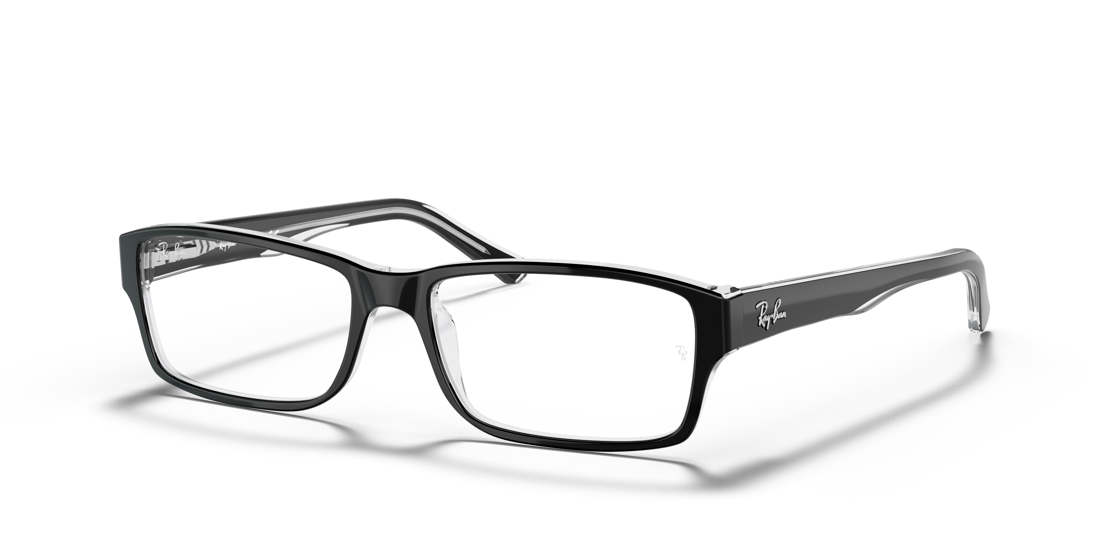RB5169 Optics