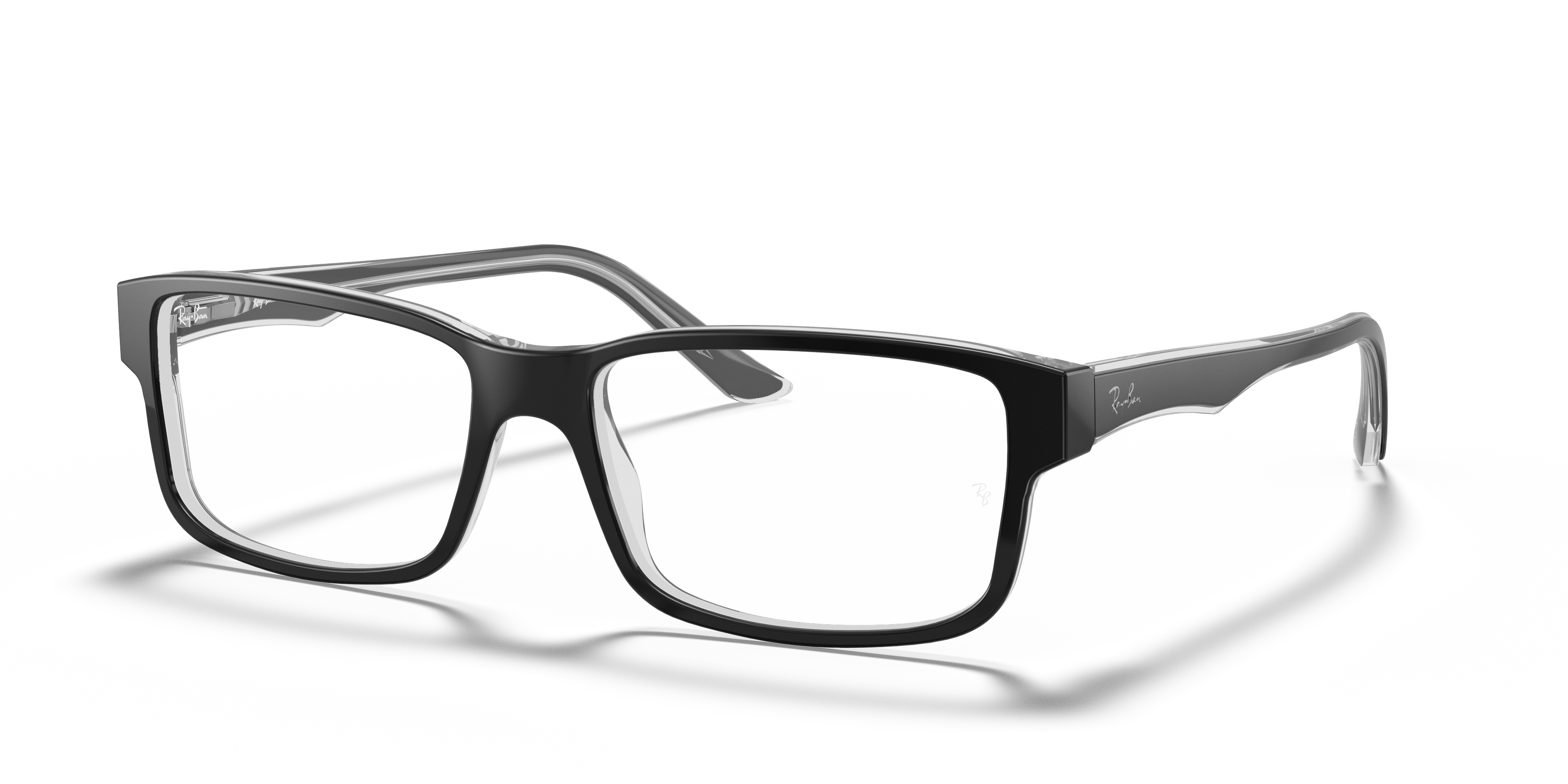 RB5245 Optics