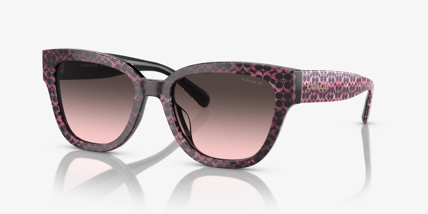 Coach HC8379U CL920 Sunglasses | LensCrafters display picture 2