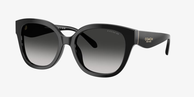Coach HC8421U CAD31 Sunglasses | LensCrafters