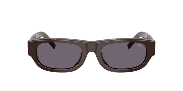 Diesel DL2022U 20691A Men's Sunglasses Brown Size 52