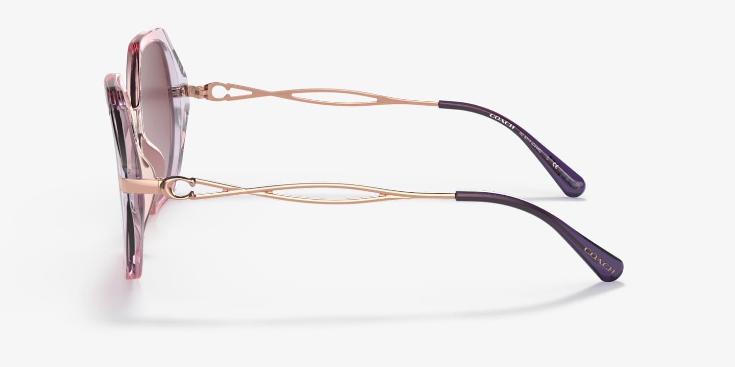 Coach HC8315 C3445 Sunglasses | LensCrafters display picture 2