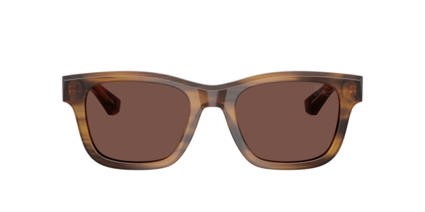 Burberry BE4504 425373 Men's Sunglasses Brown Size 51