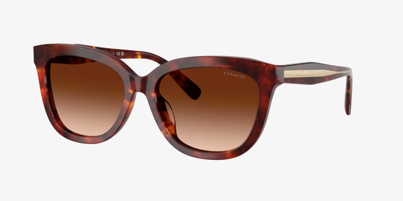 Coach HC8408U CW195 Sunglasses | LensCrafters