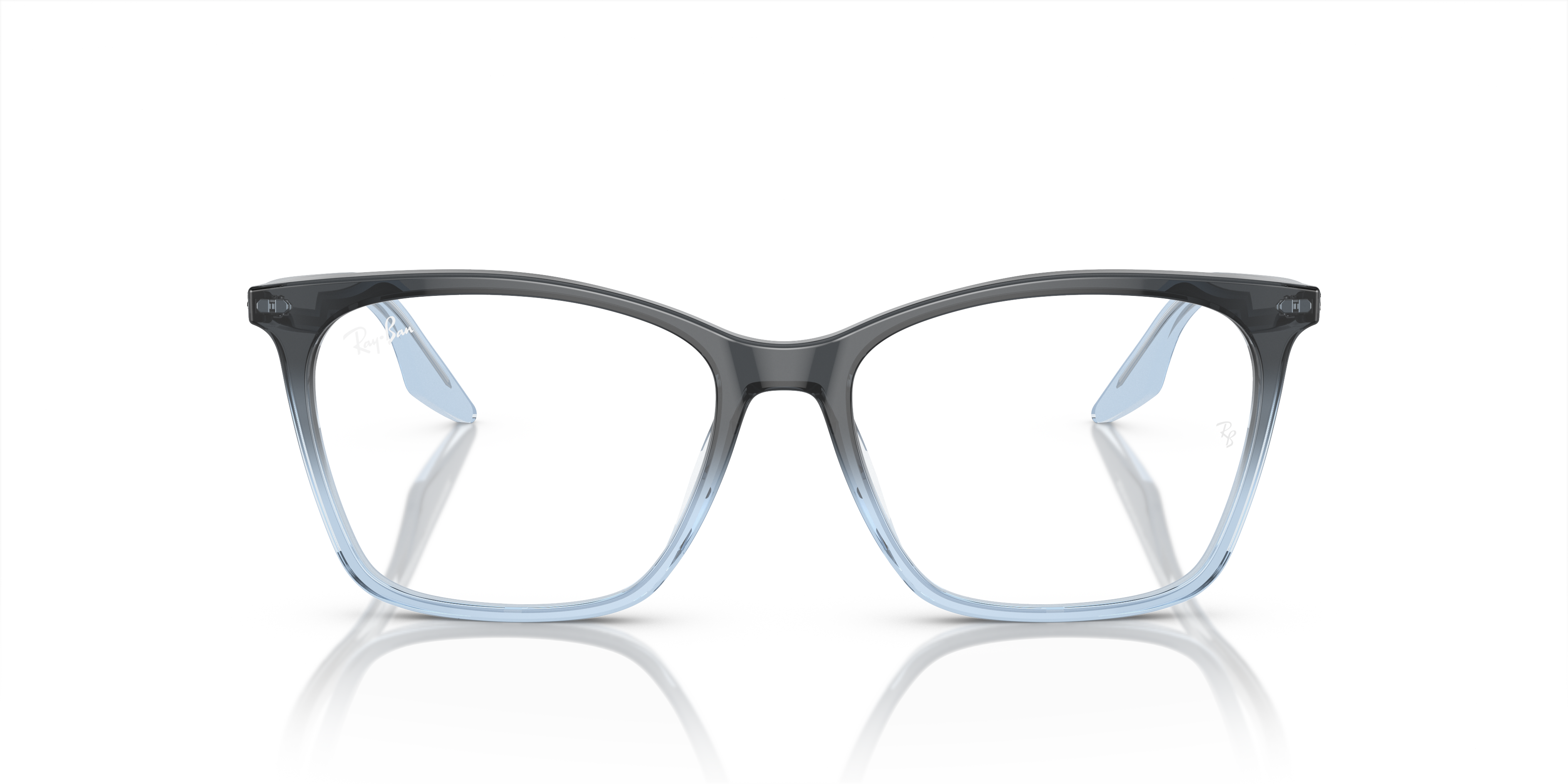 RB5422 Optics