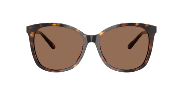 Coach HC8271U L1101 Sunglasses | LensCrafters display picture 1