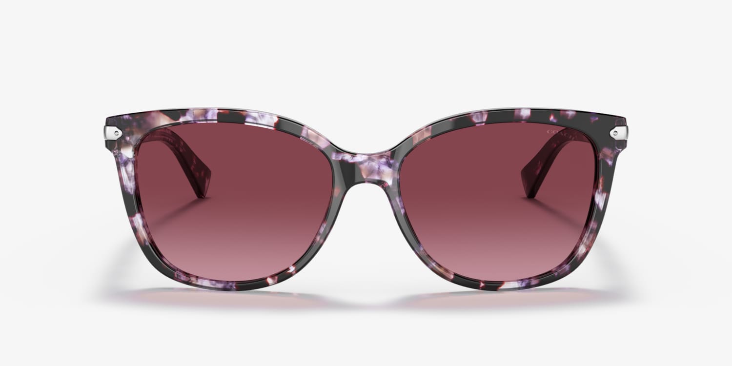 COACH NWT 55mm Cat Eye Sunglasses - Violet Coach Purple Brown Gradient Ombre Cat Eye Eyeglasses HC6089  main image 2
