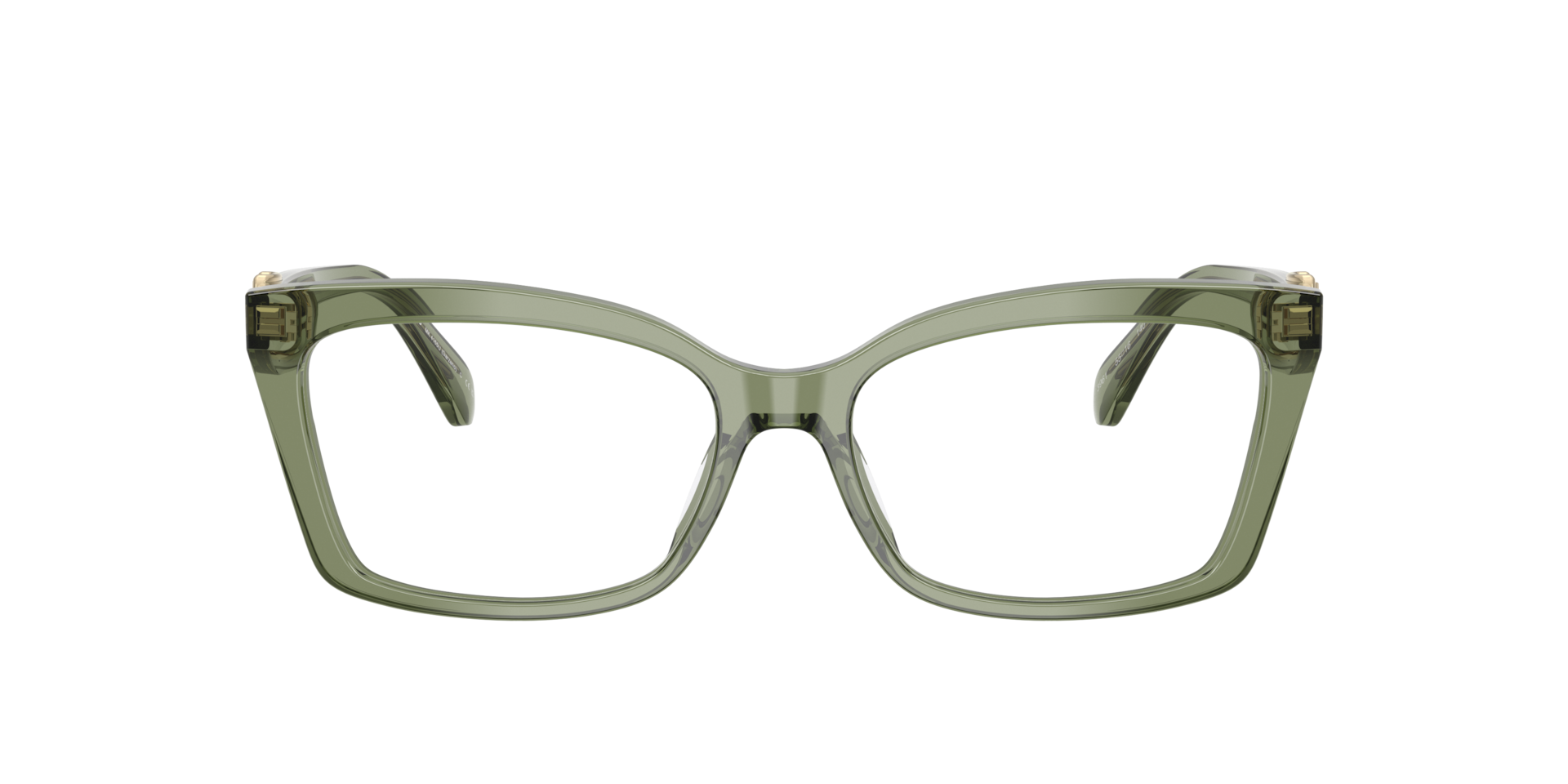 Michael Kors Woman Green Transparent 161$