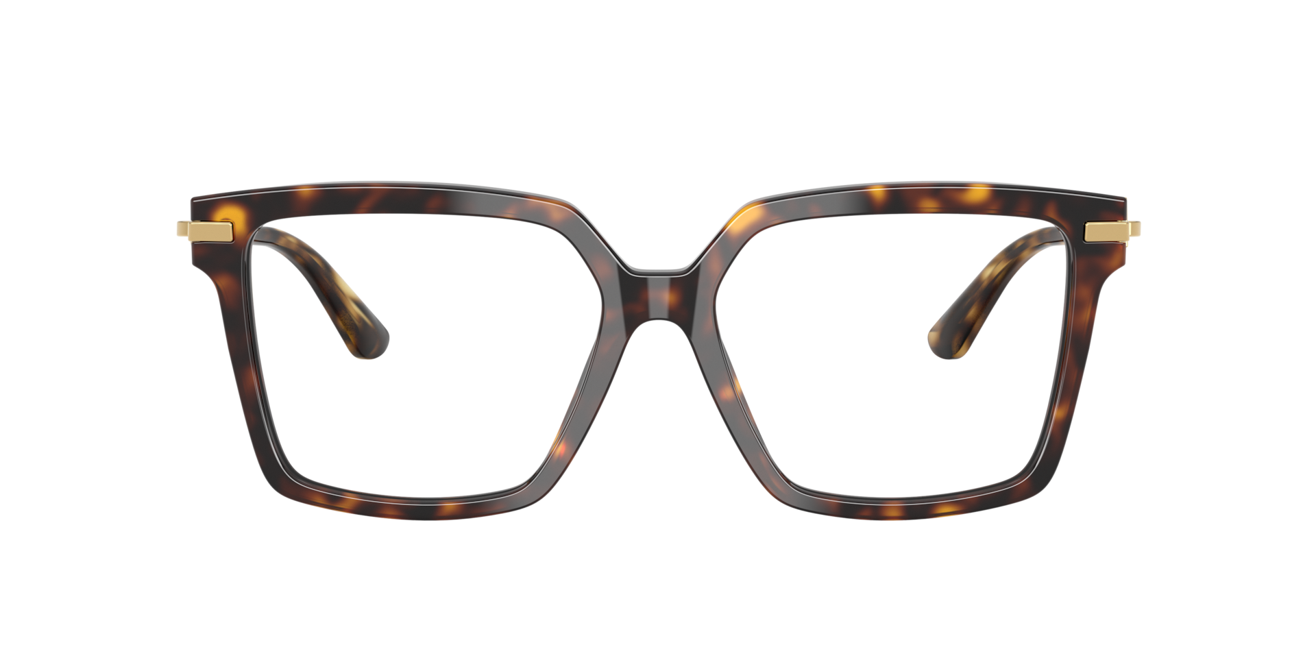 DolceGabbana Woman Havana 393$