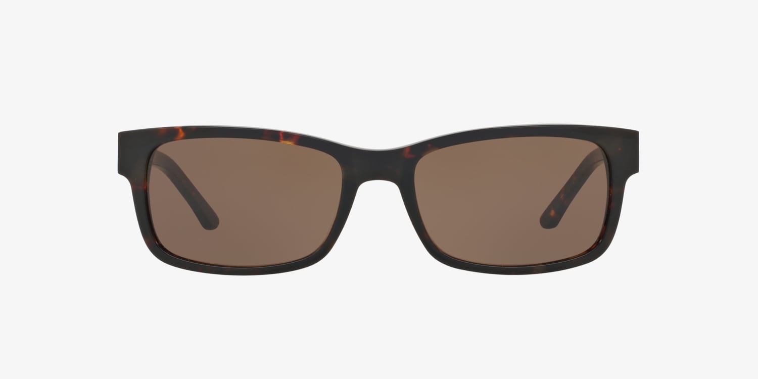 Sferoflex SF5501S Sunglasses | LensCrafters