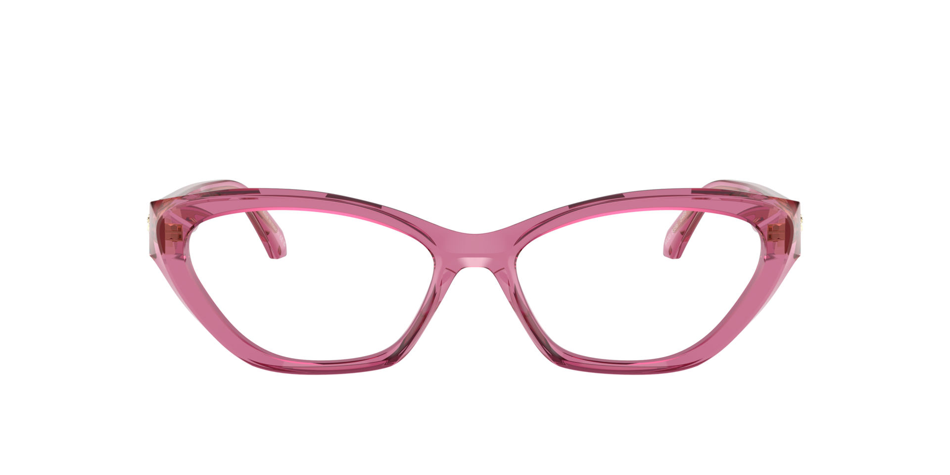 Versace Woman Transparent Light Pink 173$