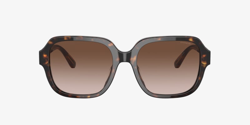 Coach HC8116 L087 Blair Sunglasses | LensCrafters