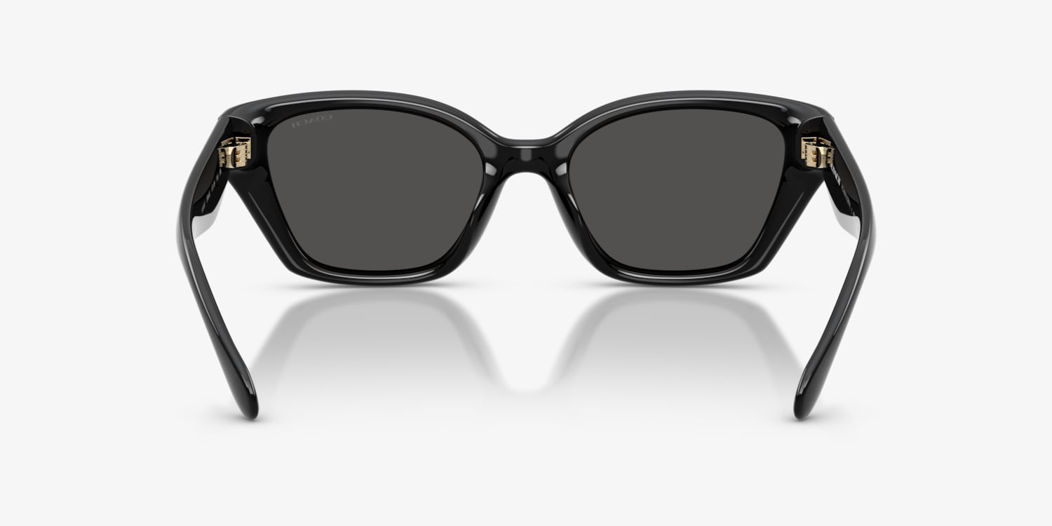 Coach HC8434U CBY91 Sunglasses | LensCrafters