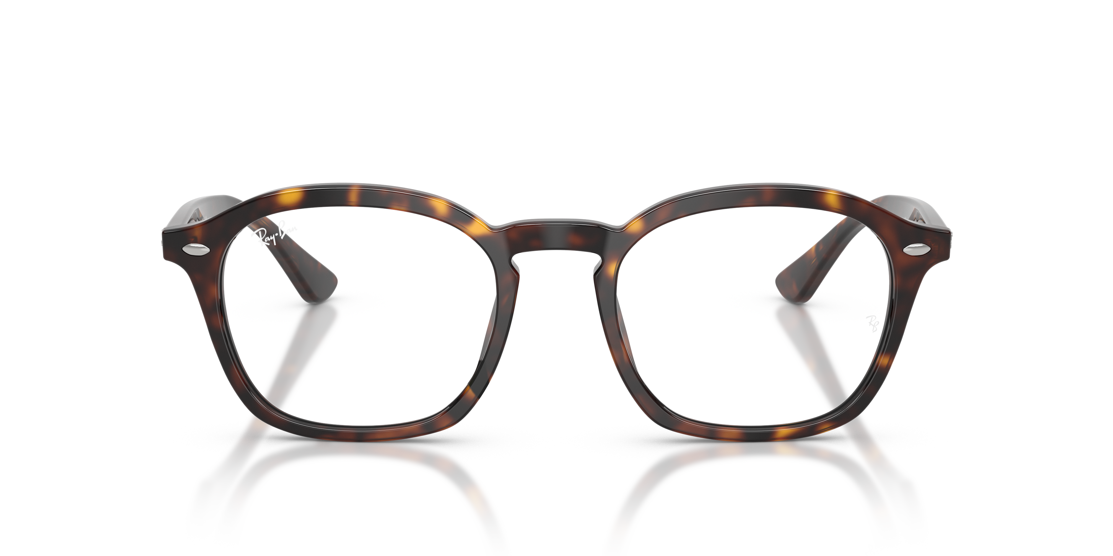 RB5451 Optics