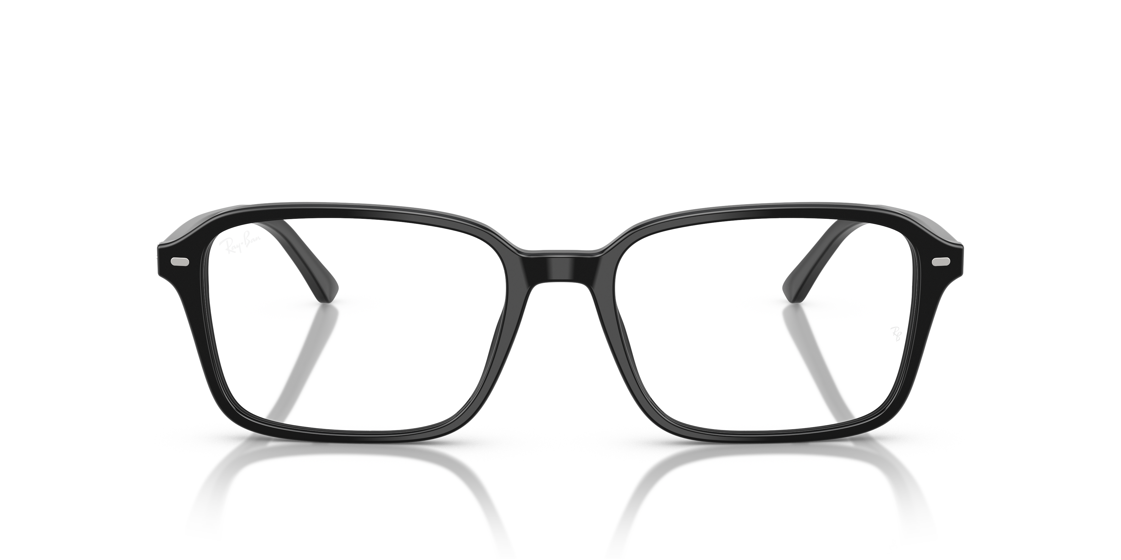 RB5431 Raimond Optics