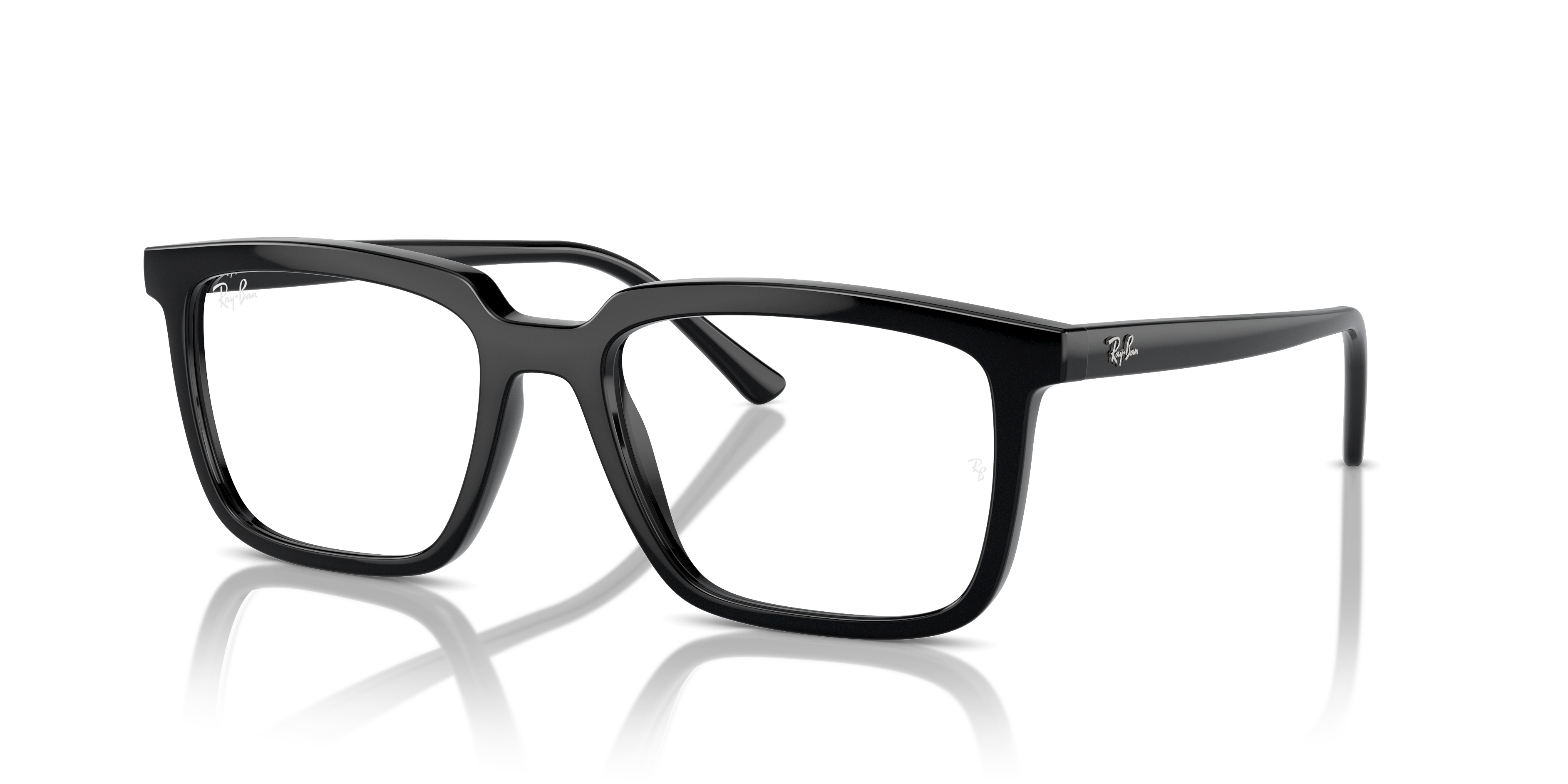 RB7239 Alain Optics