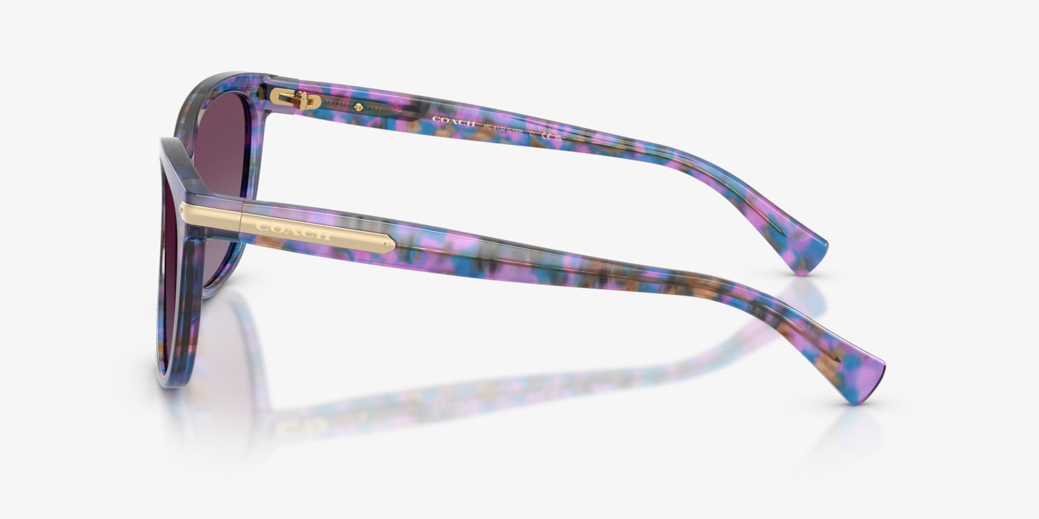 Coach HC8132 L109 Sunglasses | LensCrafters