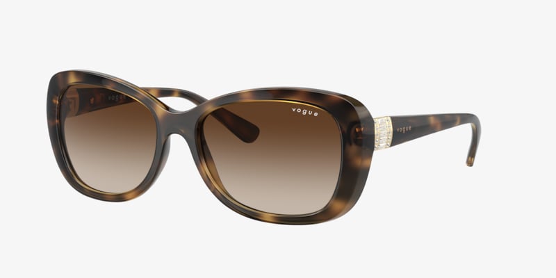 Coach HC8168 L156 Sunglasses | LensCrafters