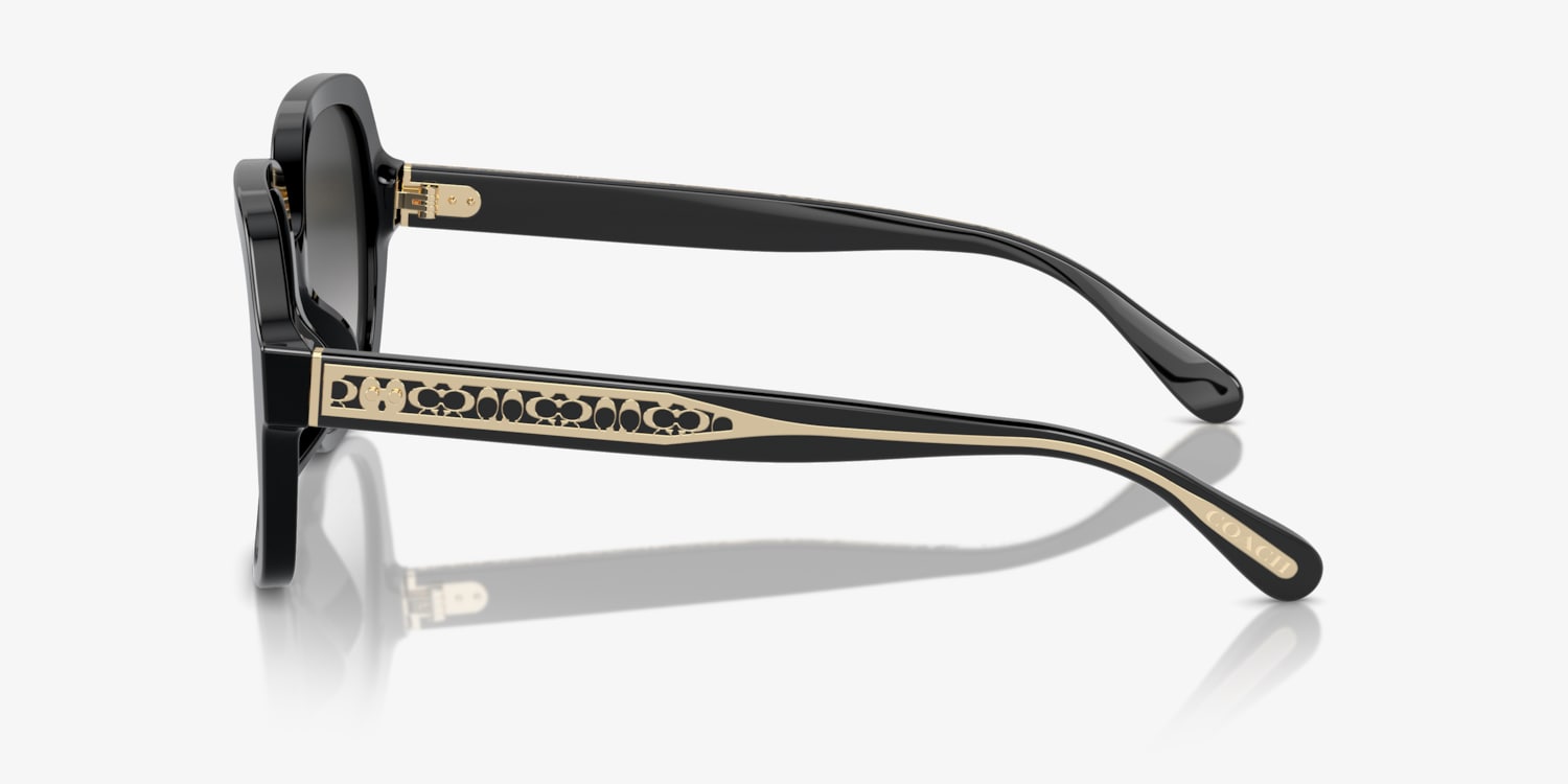 COACH サングラス & ケース Coach HC8395U CR614 Sunglasses | LensCrafters