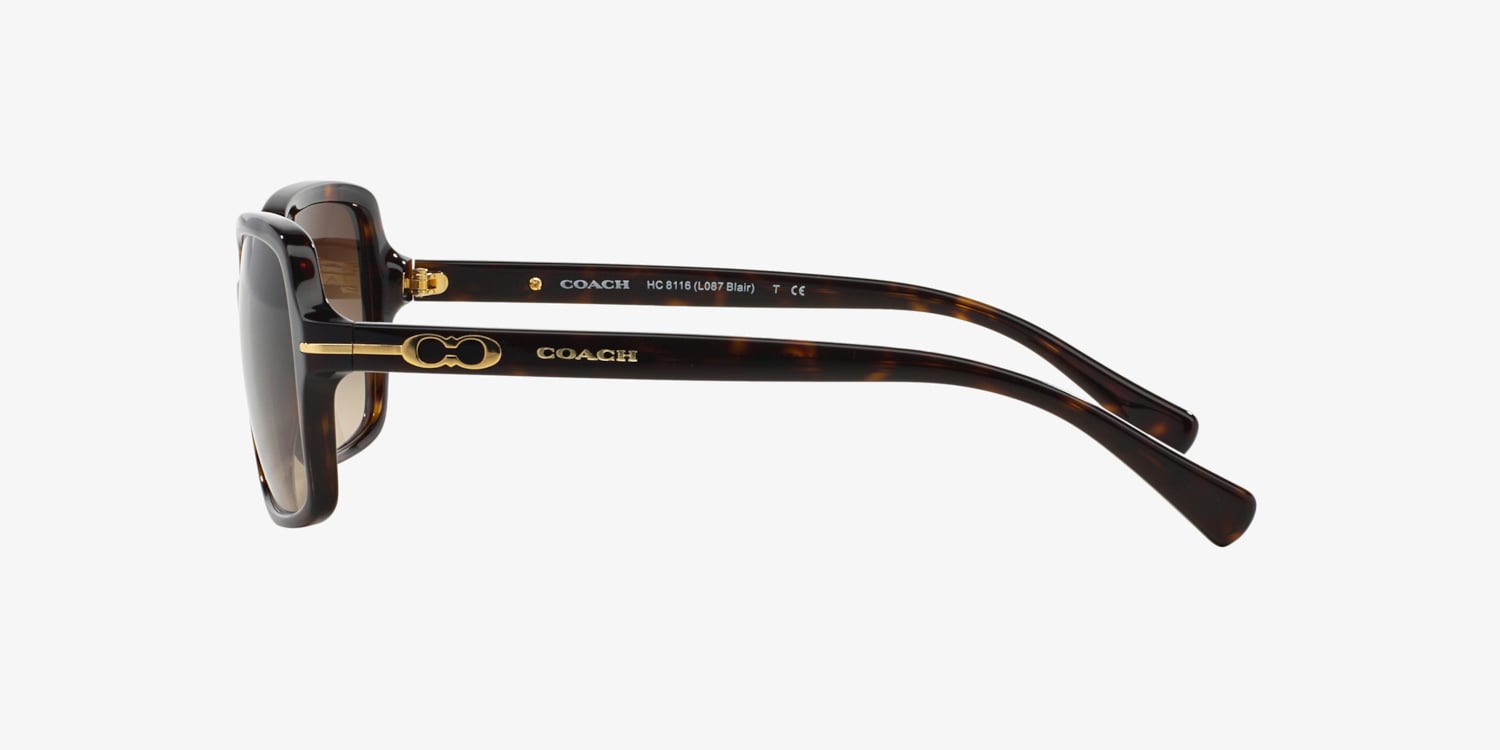 Coach Blair HC8116 Sunglasses in Milky Saddle Coach Sunglasses HC8116 L087 Blair | Designer Frames Outlet main image 2
