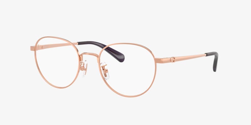 Ray-Ban RB3447V Round Metal Optics Eyeglasses | LensCrafters