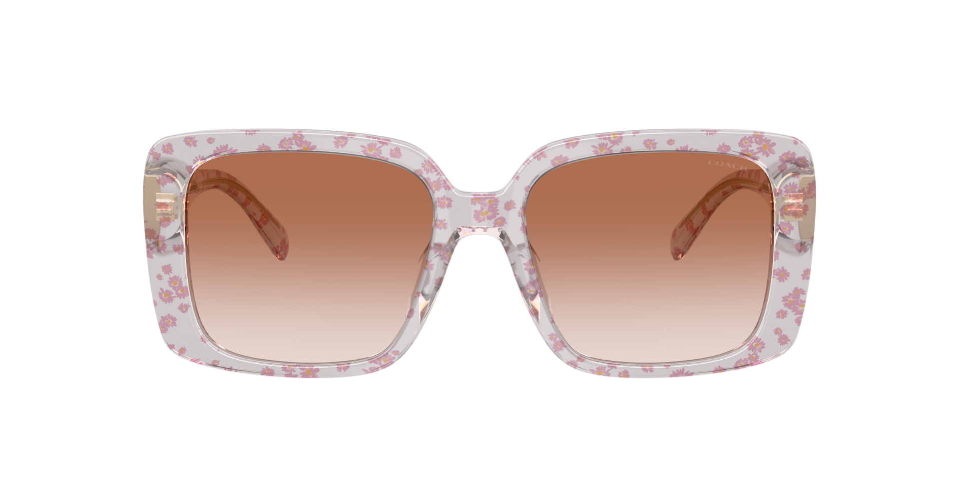 Coach HC8424U CAD54 Sunglasses | LensCrafters