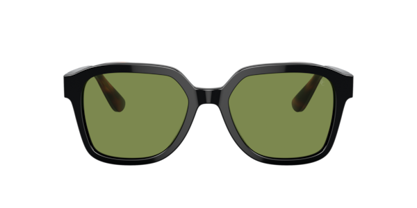 Brunello Cucinelli Unisex  Black, Havana