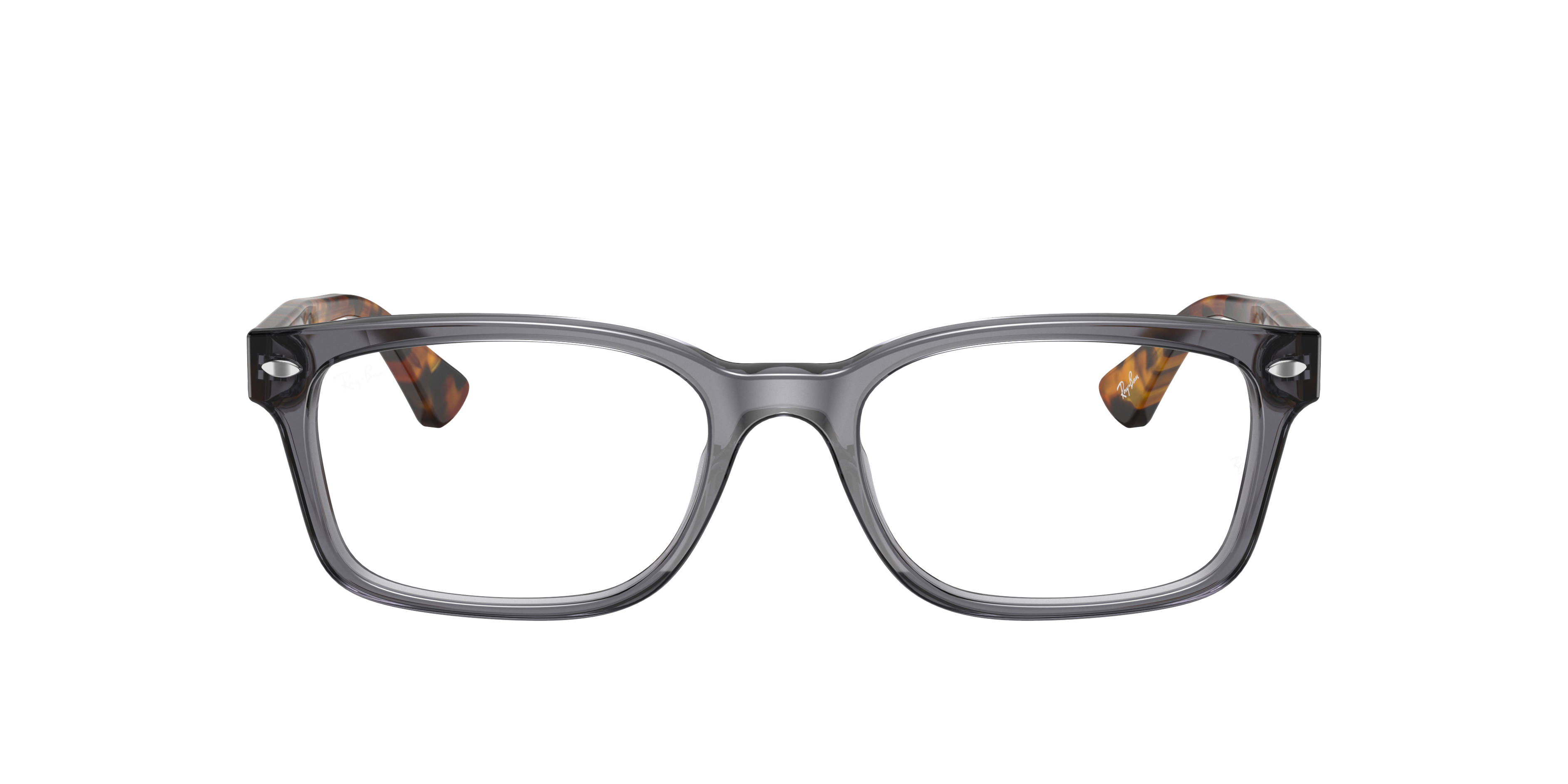 RB5286 Optics