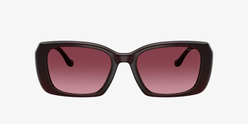 Coach HC8421U CAD31 Sunglasses | LensCrafters display picture 3